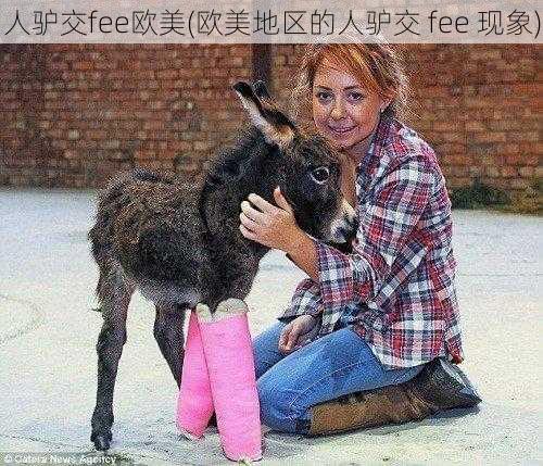 人驴交fee欧美(欧美地区的人驴交 fee 现象)