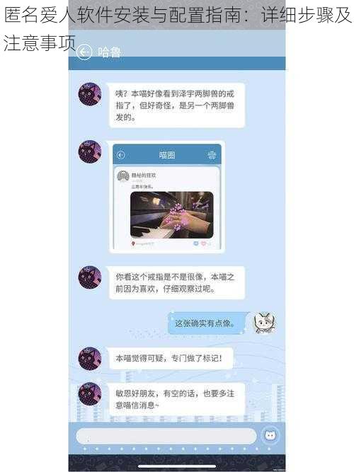 匿名爱人软件安装与配置指南：详细步骤及注意事项