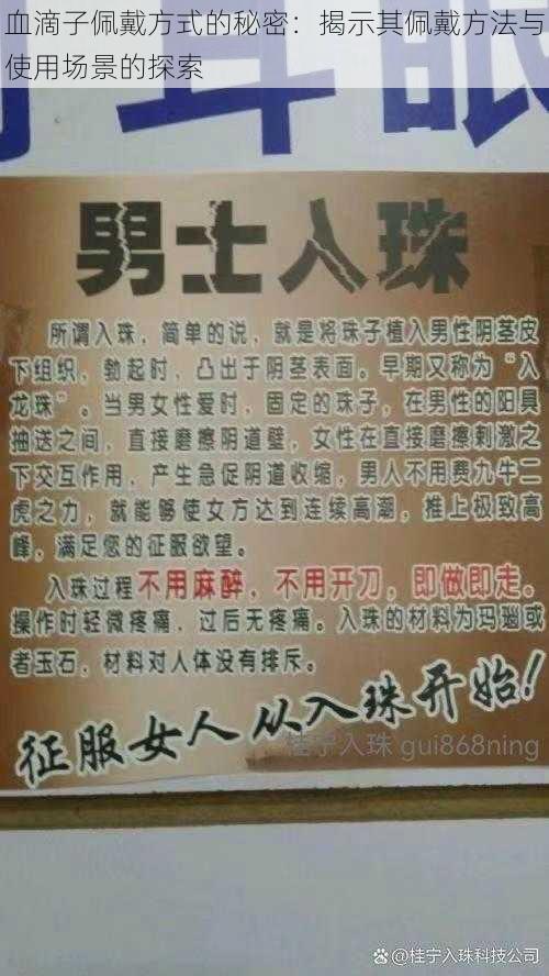 血滴子佩戴方式的秘密：揭示其佩戴方法与使用场景的探索