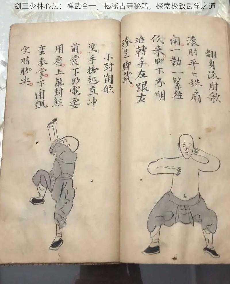 剑三少林心法：禅武合一，揭秘古寺秘籍，探索极致武学之道