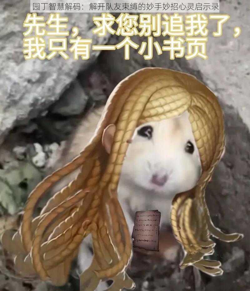 园丁智慧解码:解开队友束缚的妙手妙招心灵启示录