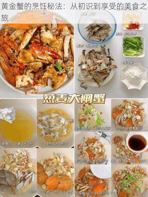 黄金蟹的烹饪秘法:从初识到享受的美食之旅