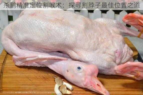 杀鹅精准定位割喉术:探寻割脖子最佳位置之道