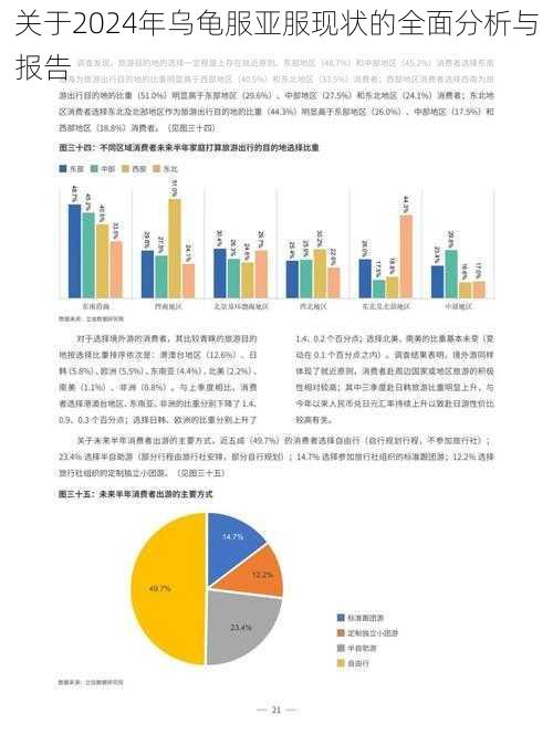 关于2024年乌龟服亚服现状的全面分析与报告