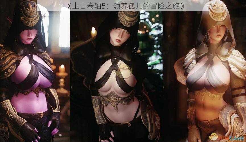 《上古卷轴5:领养孤儿的冒险之旅》