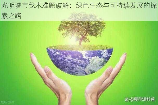 光明城市伐木难题破解:绿色生态与可持续发展的探索之路