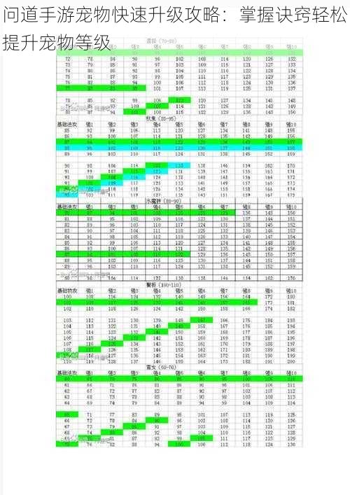 问道手游宠物快速升级攻略：掌握诀窍轻松提升宠物等级