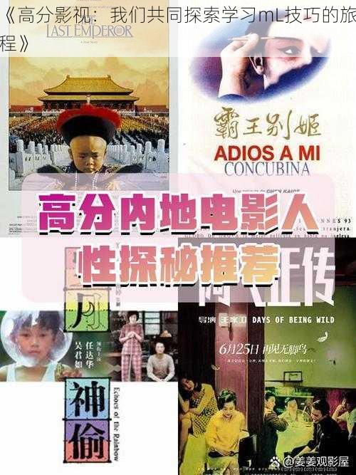 《高分影视:我们共同探索学习mL技巧的旅程》