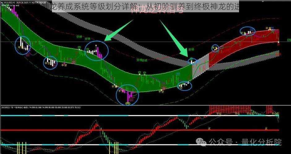 超级神龙养成系统等级划分详解:从初阶驯养到终极神龙的进阶之路