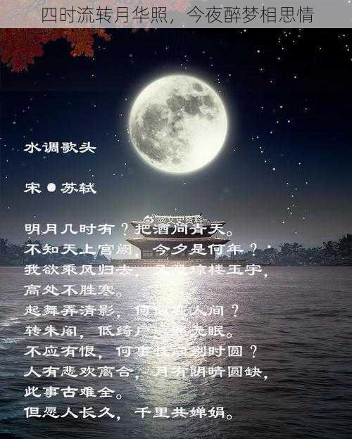 四时流转月华照,今夜醉梦相思情