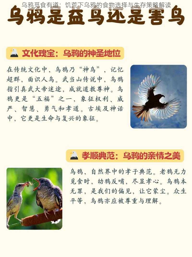 乌鸦觅食有道:饥荒下乌鸦的食物选择与生存策略解读