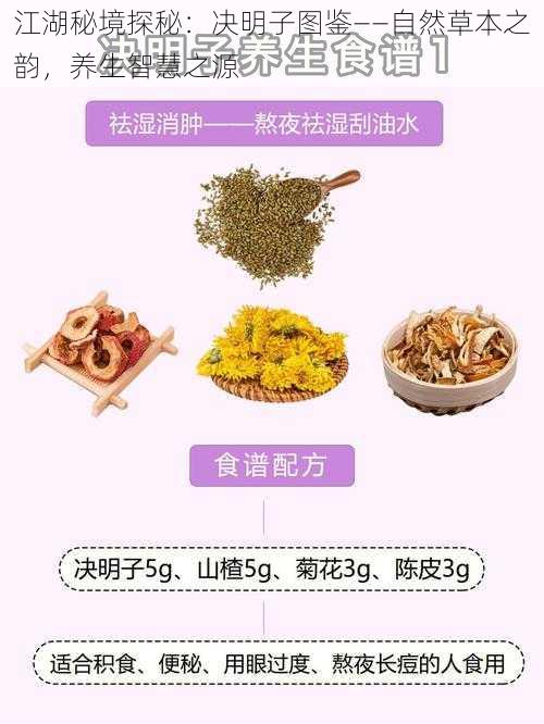 江湖秘境探秘:决明子图鉴——自然草本之韵,养生智慧之源