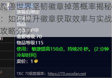 魔兽世界坚韧徽章掉落概率揭秘：如何提升徽章获取效率与实战攻略分享