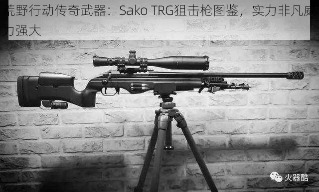 荒野行动传奇武器：Sako TRG狙击枪图鉴，实力非凡威力强大