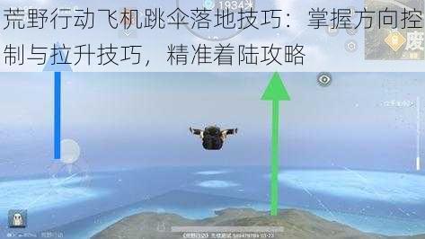 荒野行动飞机跳伞落地技巧:掌握方向控制与拉升技巧,精准着陆攻略