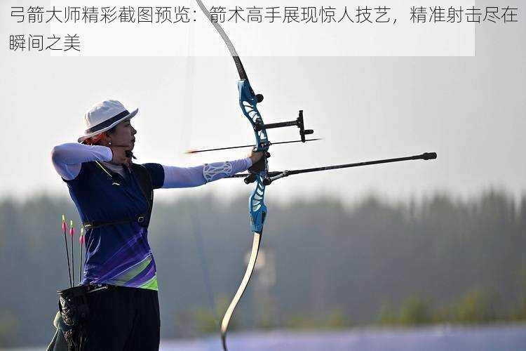 弓箭大师精彩截图预览:箭术高手展现惊人技艺,精准射击尽在瞬间之美