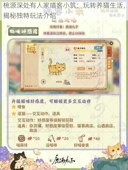 桃源深处有人家喵客小筑:玩转养猫生活,揭秘独特玩法介绍