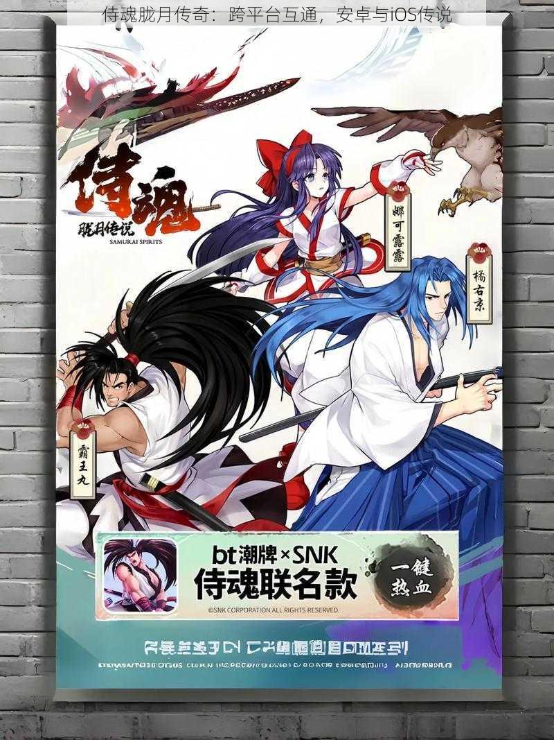 侍魂胧月传奇:跨平台互通,安卓与iOS传说
