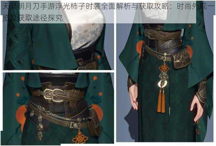 天涯明月刀手游浮光柿子时装全面解析与获取攻略:时尚外观一览及获取途径探究