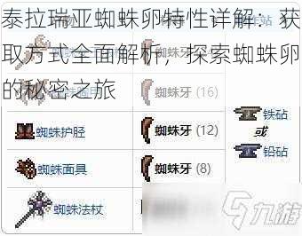 泰拉瑞亚蜘蛛卵特性详解:获取方式全面解析,探索蜘蛛卵的秘密之旅
