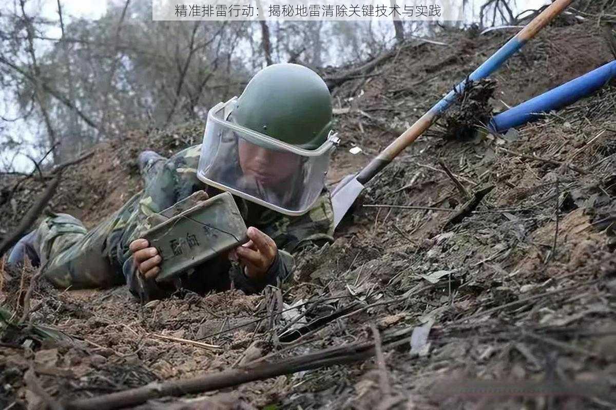 精准排雷行动:揭秘地雷清除关键技术与实践