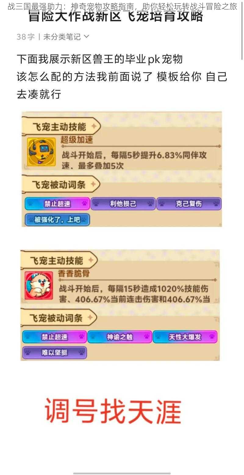 战三国最强助力:神奇宠物攻略指南,助你轻松玩转战斗冒险之旅