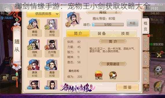 御剑情缘手游:宠物王小剑获取攻略大全
