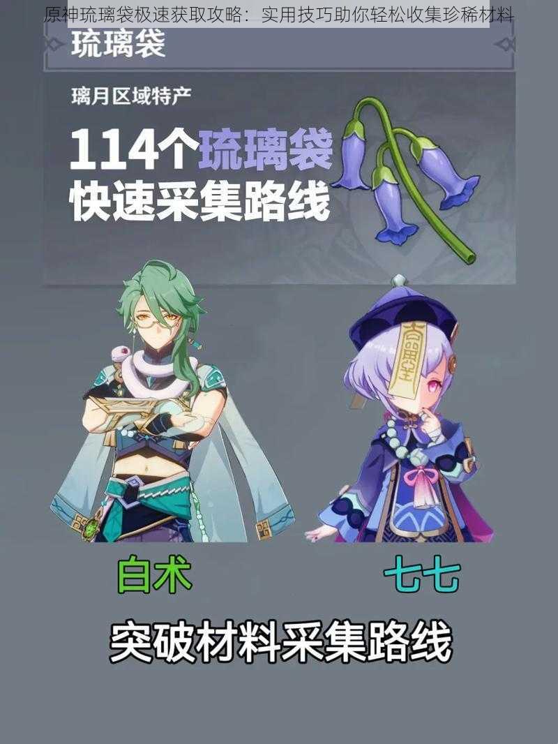 原神琉璃袋极速获取攻略:实用技巧助你轻松收集珍稀材料