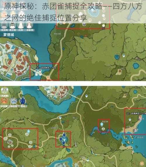 原神探秘:赤团雀捕捉全攻略——四方八方之网的绝佳捕捉位置分享