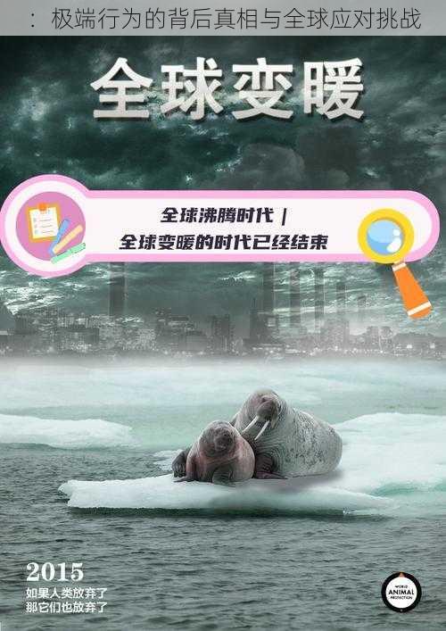 :极端行为的背后真相与全球应对挑战