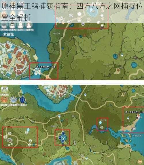 原神黑王鸽捕获指南:四方八方之网捕捉位置全解析